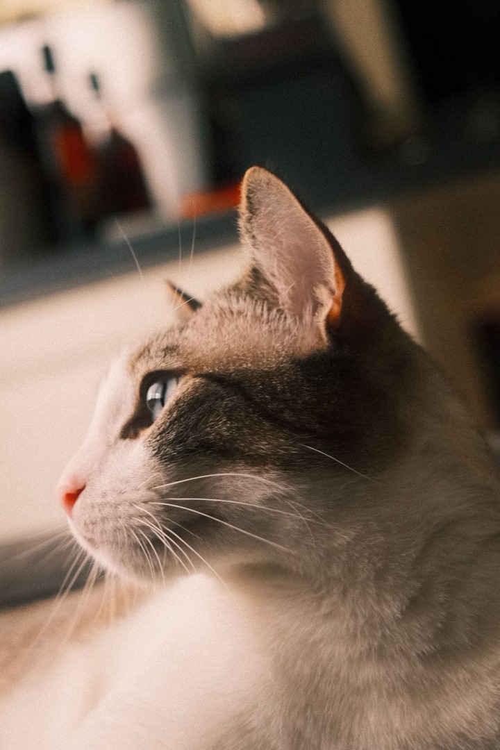 f78d0d70-9efb-41c8-b924-e061796967b7