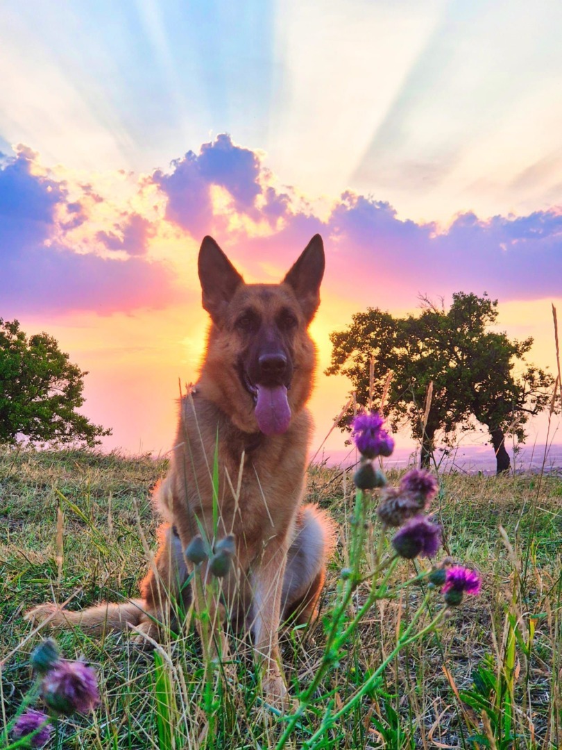 fd0d3c25-52c9-4815-8aa9-c0e83bbc8a8a