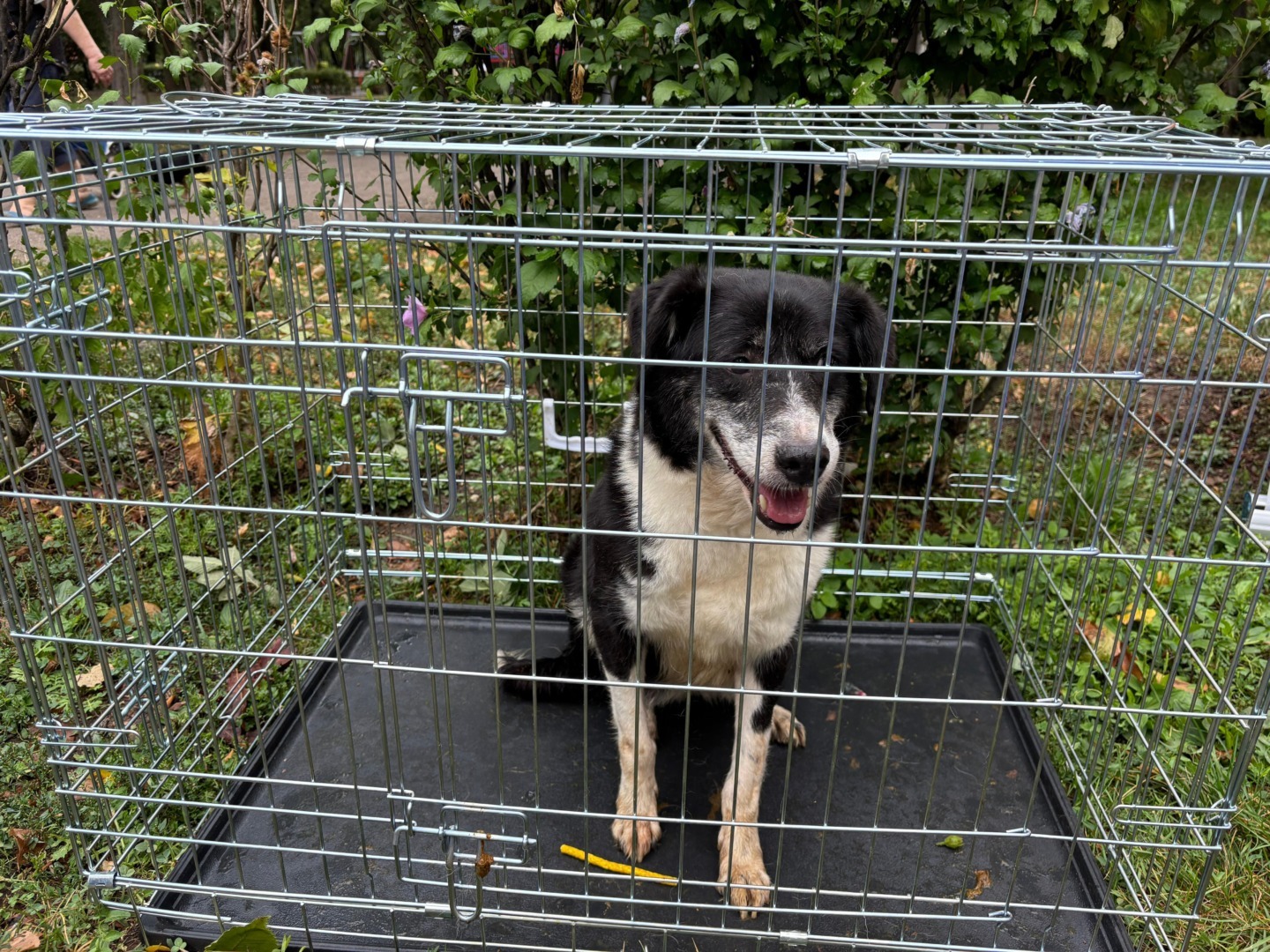 fd513024-bdeb-4da4-a3f6-da85670f06bd