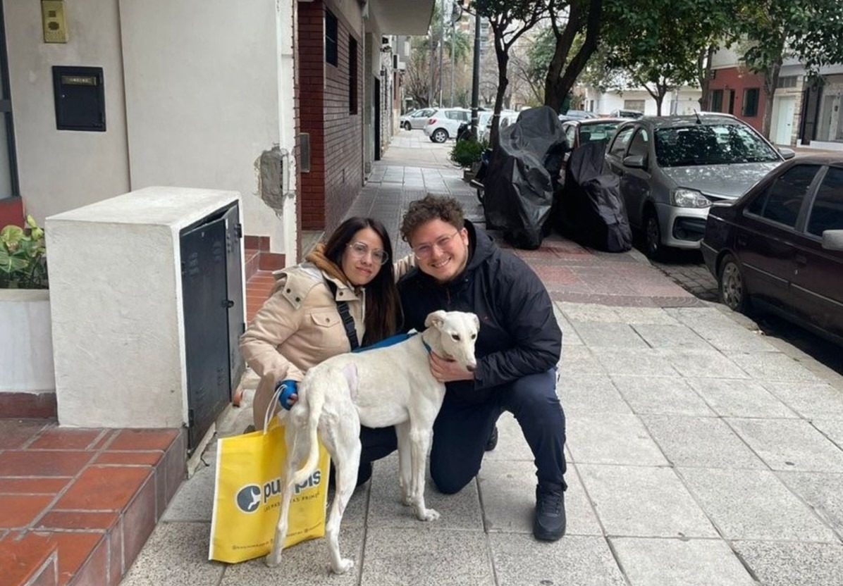 noii stapani si ogarita