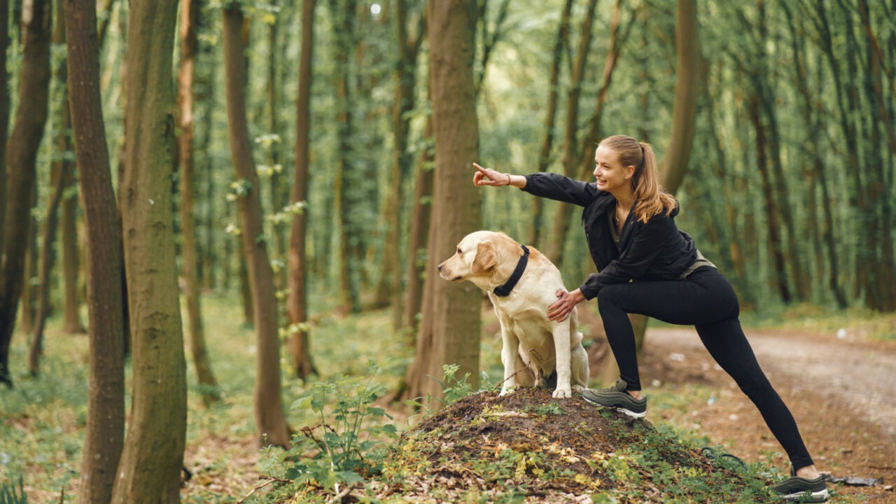 O tânără îi arată câinelui ceva în depărtare, într-o pădure