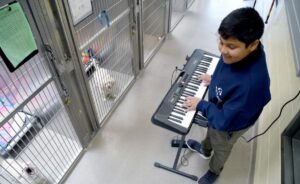 un baiat le canta animalelor din adapost