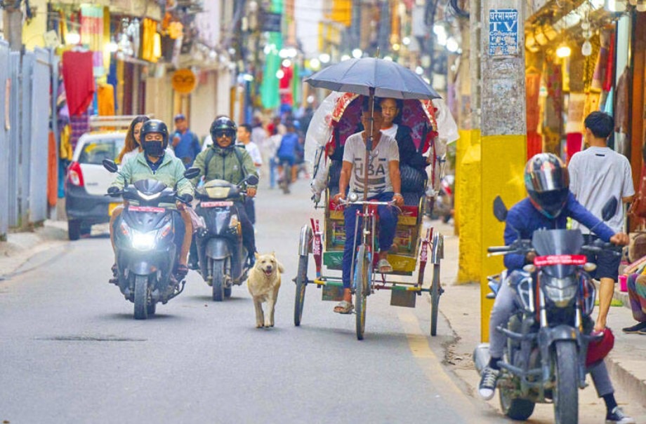 cainele si stapanul la serviciu