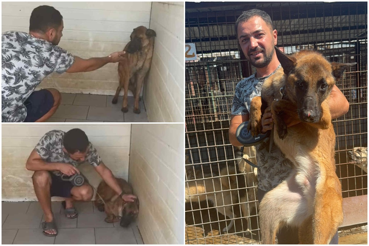 COoaj cu Max și stăpânul său