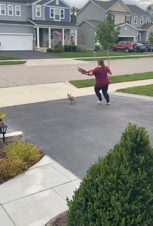 Mya, papagalul Ara cu jumătate de aripă, plimbat în palme de stăpână pentru ca acesta să simtă bucuria zborului. Mya a fost atacat de mama lui când era pui.