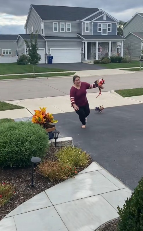 Mya, papagalul Ara cu jumătate de aripă, plimbat în palme de stăpână pentru ca acesta să simtă bucuria zborului. Mya a fost atacat de mama lui când era pui.