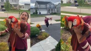 Mya, papagalul Ara cu jumătate de aripă, plimbat în palme de stăpână pentru ca acesta să simtă bucuria zborului. Mya a fost atacat de mama lui când era pui.