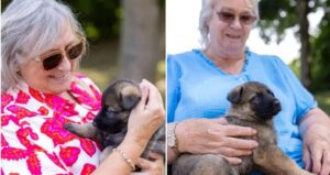 doua femei in varsta tin in brate doi catei