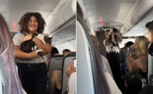 pisica pierduta in avion