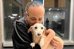 Un bărbat ține un câine în brațe și îl sărută pe cap