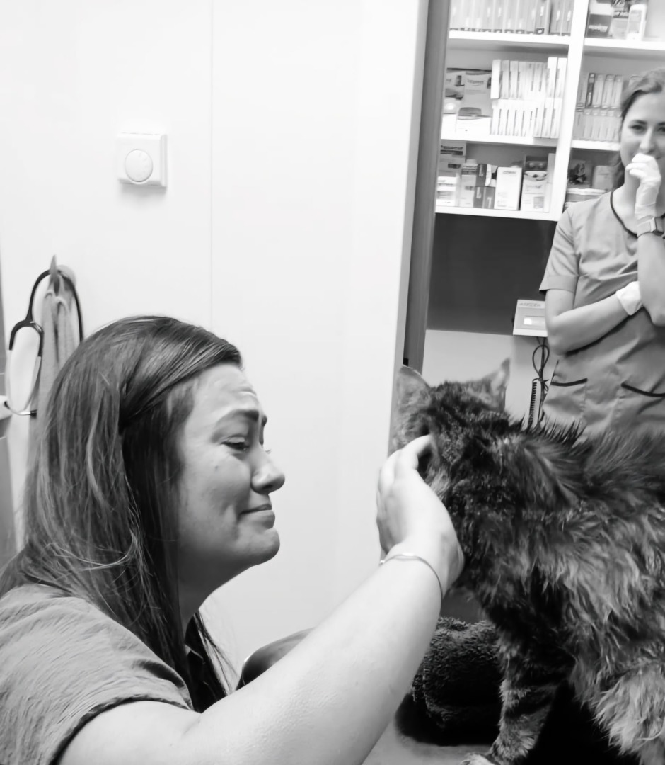 stapana si pisica ei