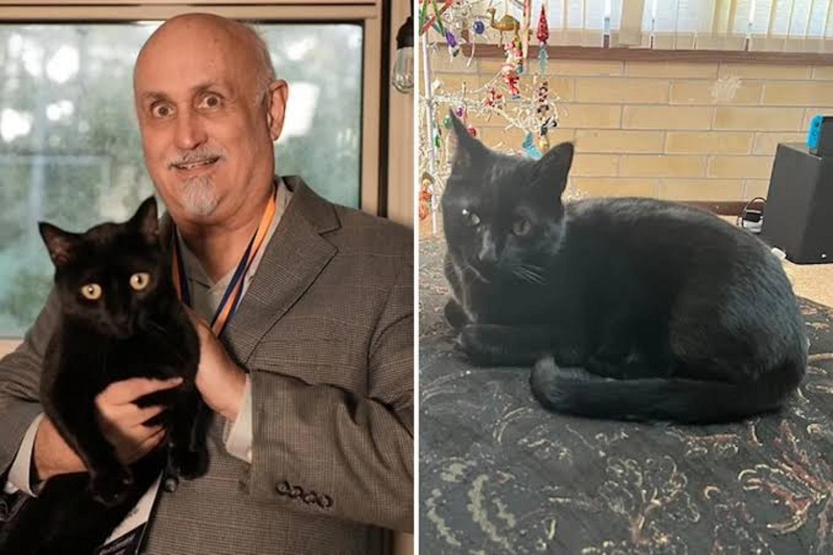 stapanul tine in brate pisica