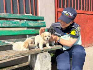 O polițistă așezată lângă trei cățeluși