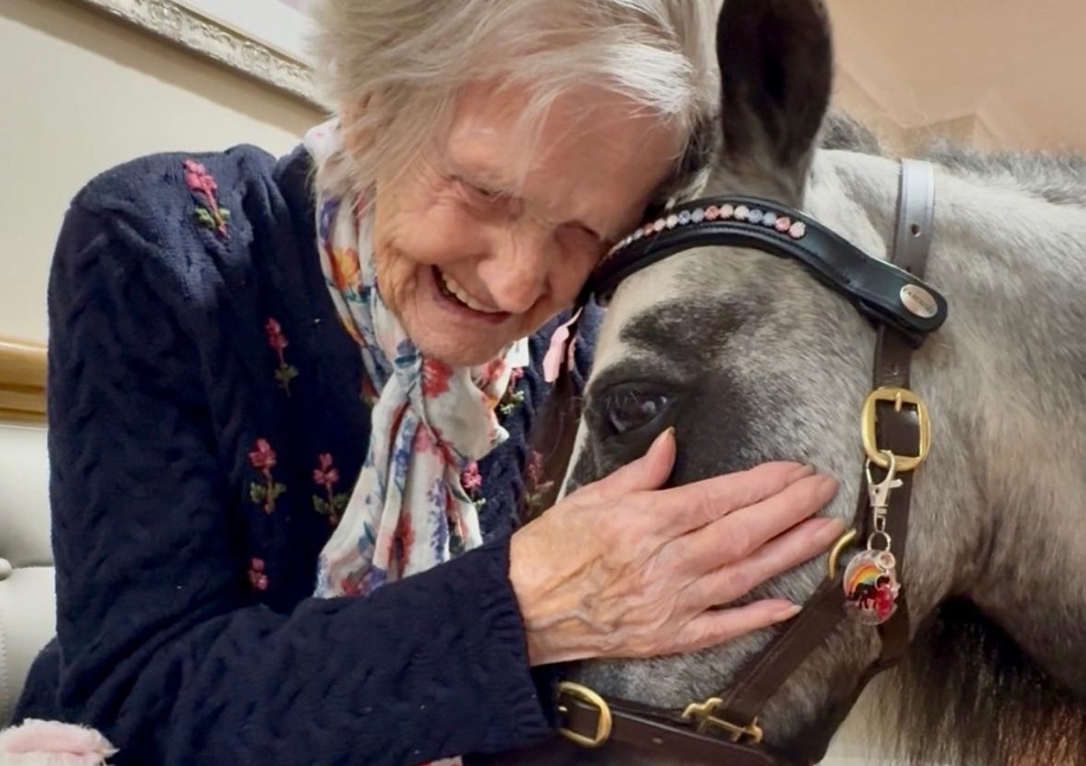 O persoană în vârstă mângâie un ponei