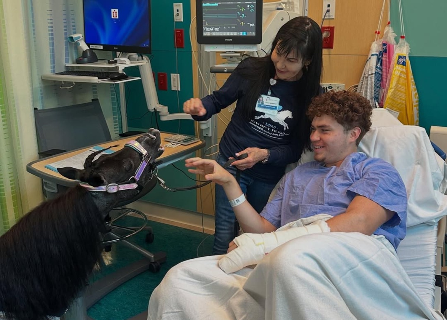 Un tânăr cu mâna bandajată, pe un pat de spital, alături de îngrijitoarea unui ponei folosit ca animal de terapie.