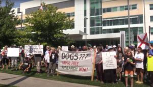 Un grup de oameni protestează în fața unei clădiri