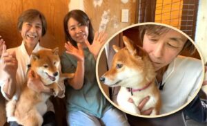 si-a-vandut-ferrari-pentru-animale