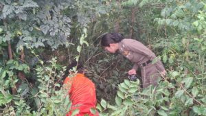 Două persoane caută ceva în tufișuri