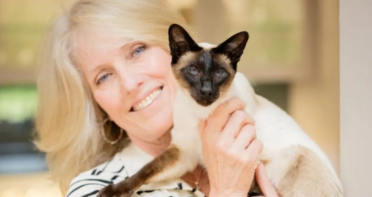 stapana tine in brate pisica