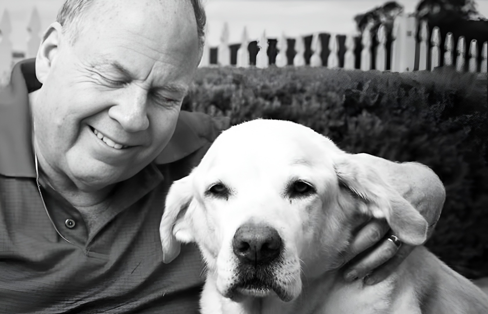 Câine alături de stăpânul lui