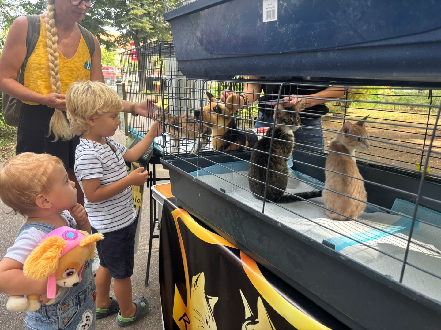 14554aac-1a0f-4301-bdf1-76e380a769ad