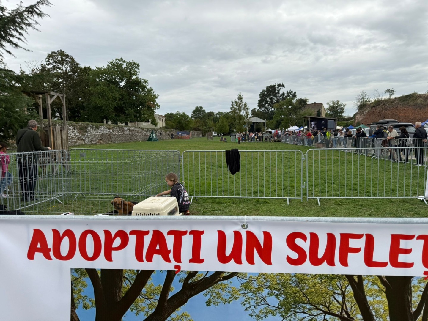 28c08117-73c4-4d23-a464-efbb7bafee09