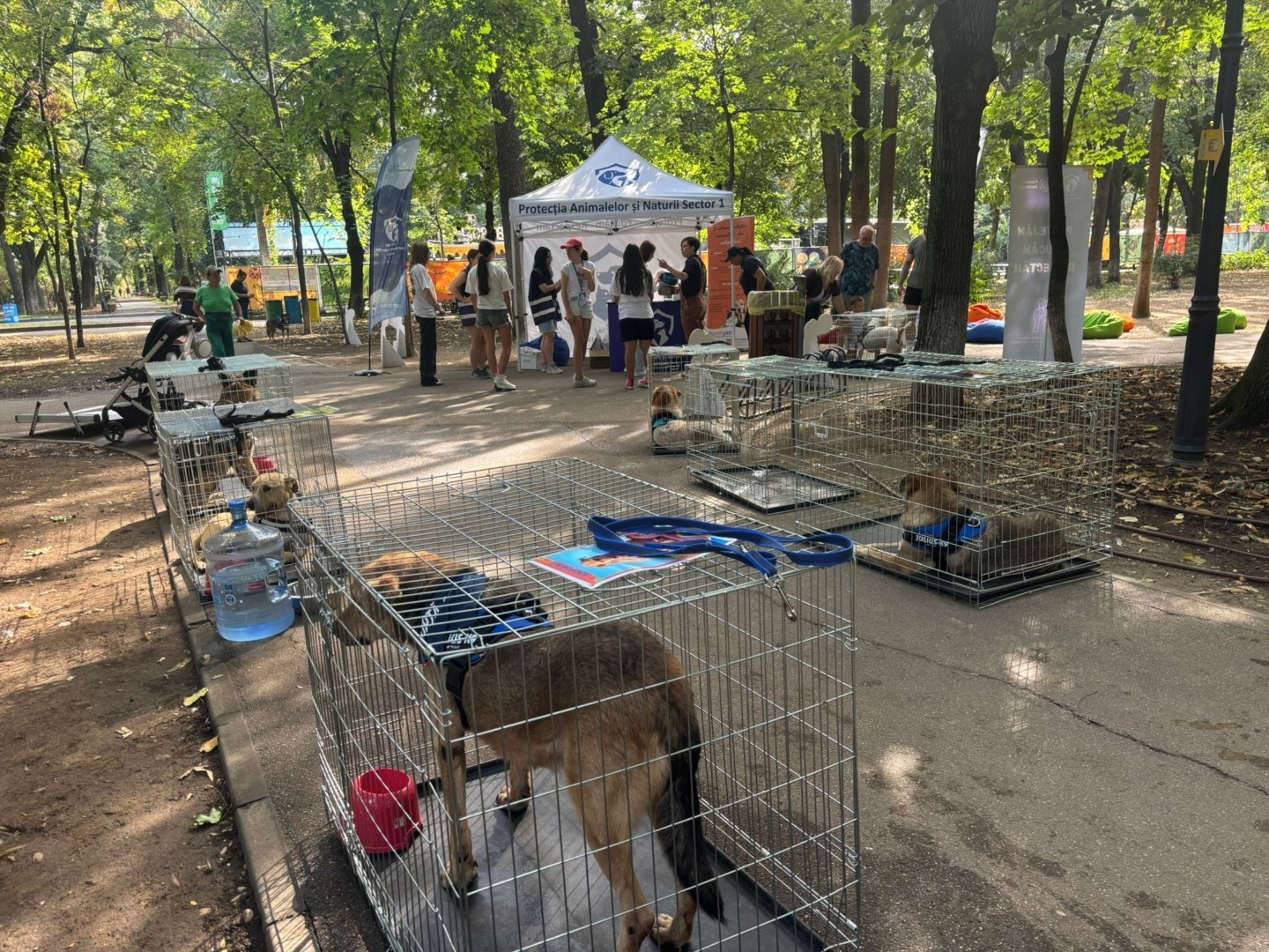 38dd0bbc-a7a0-43a7-aaa4-31ec67f4c049