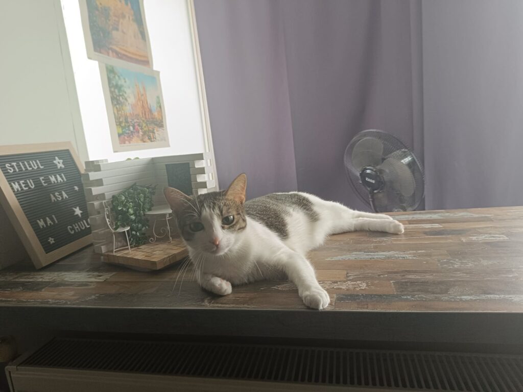 469410053_122117523674414486_7110489075452810774_n