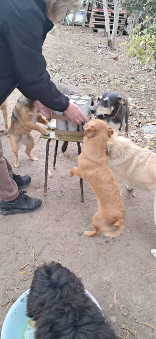 471492579_122148318008333439_9007384310864499847_n