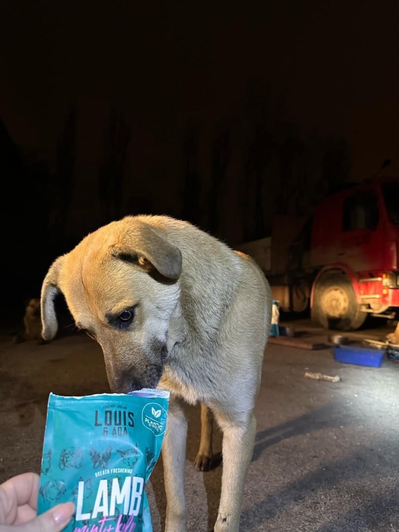 473598244_122151243464333439_8664508680760782312_n