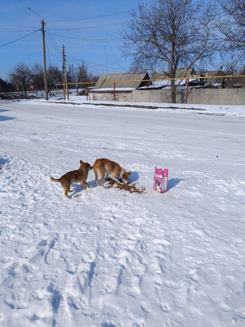 482131479_122158821578333439_200060483240350749_n