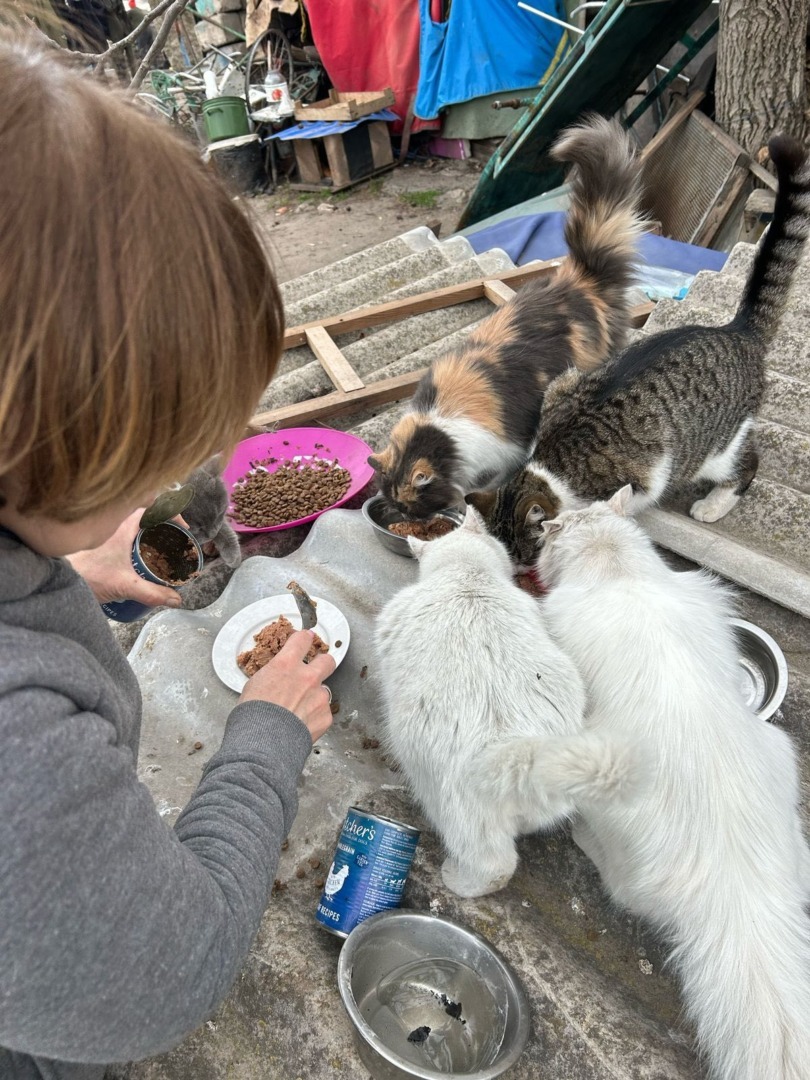 489558231_122165421410333439_6927501239700537489_n