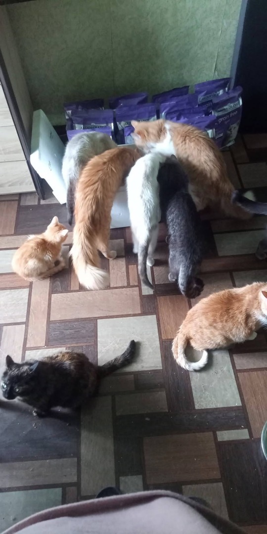 489865060_122166363842333439_2726240676943254851_n