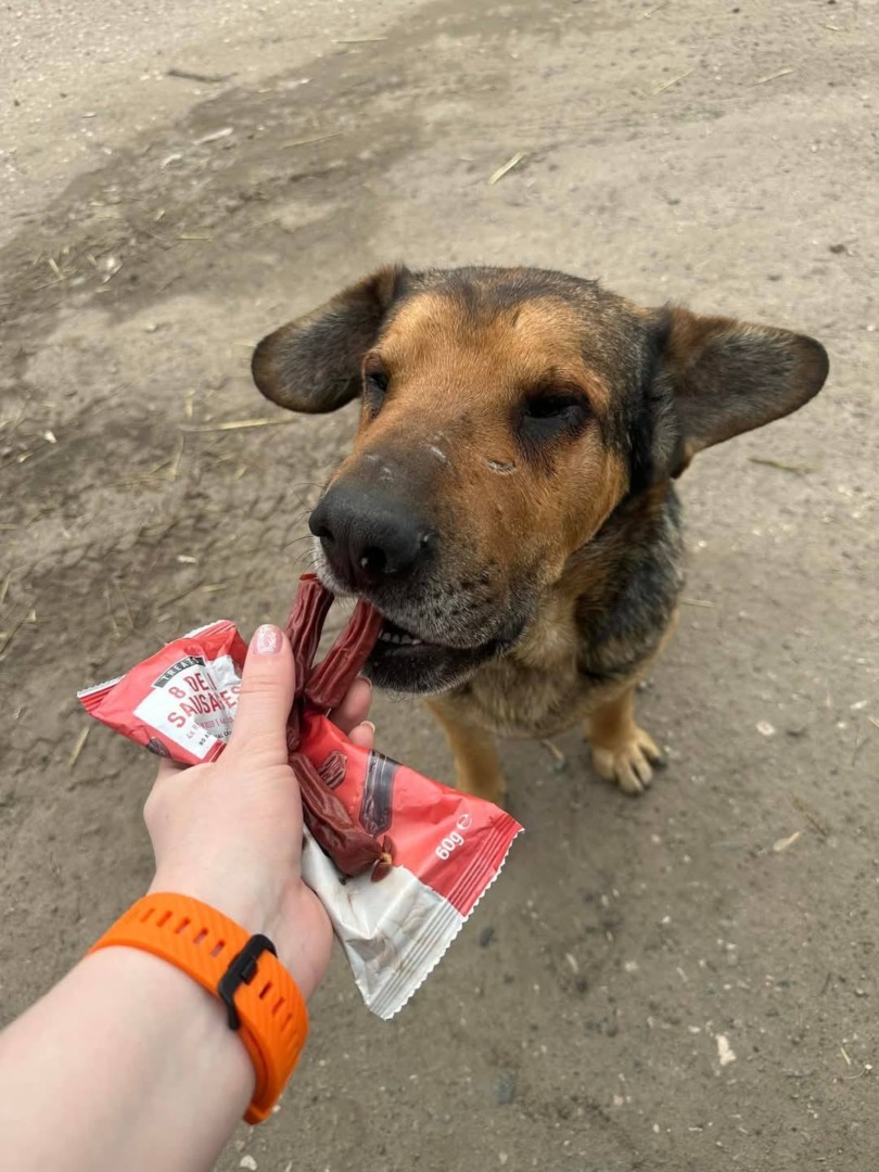 490154604_122166363752333439_2950067242582831019_n