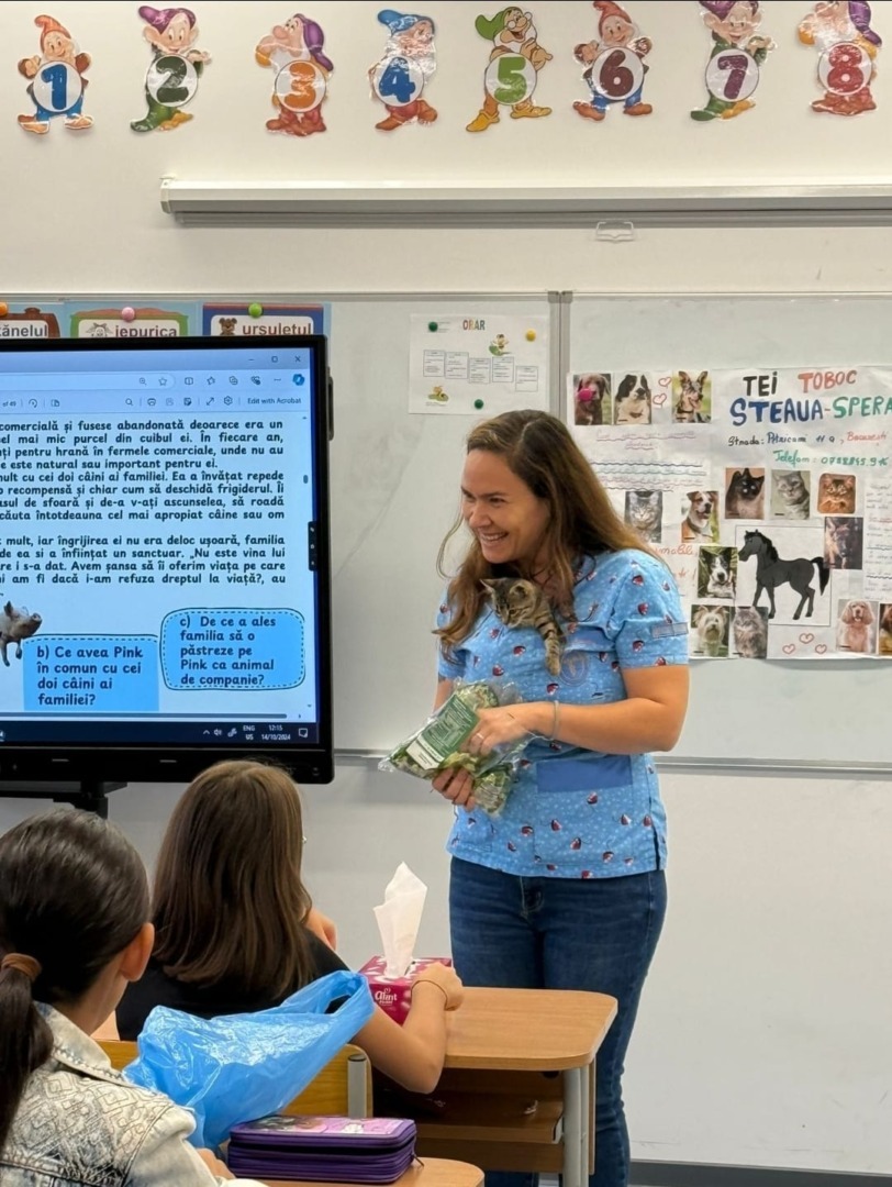 4cd6d780-2780-49c6-b4fe-b9308b70a711