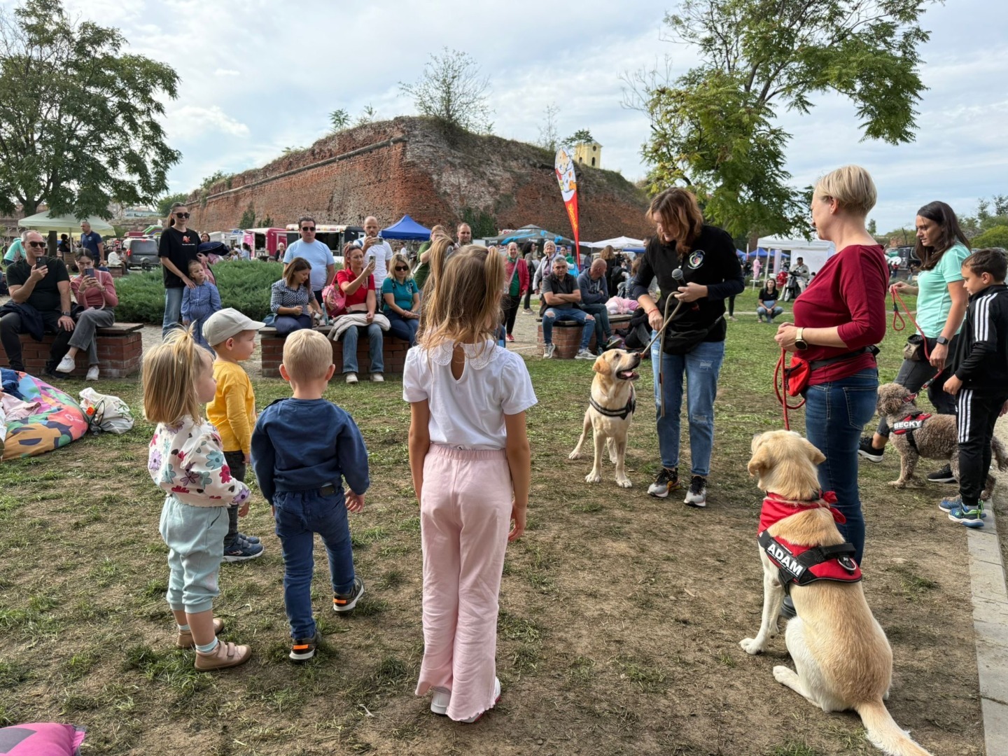 4fc8fe1c-1c06-488e-8f61-4f63df7b9fa3