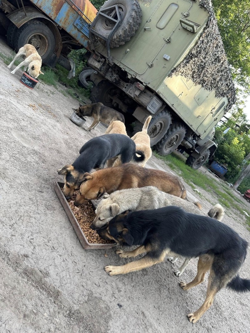 507566030_122177178752333439_7731871092578855494_n