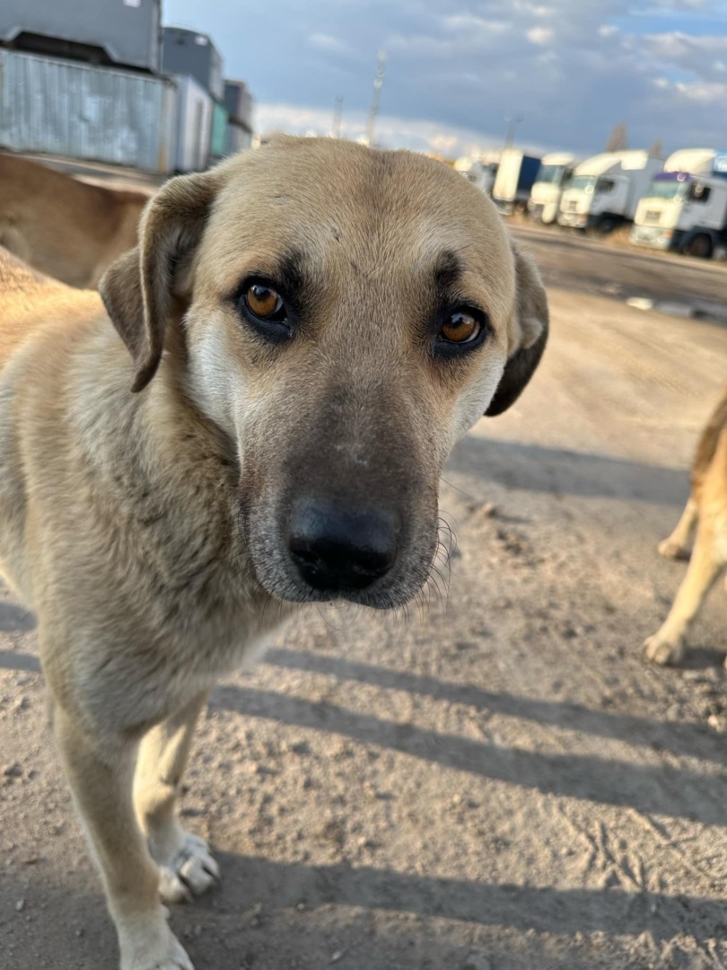 508448401_122177178626333439_8336126800910869757_n