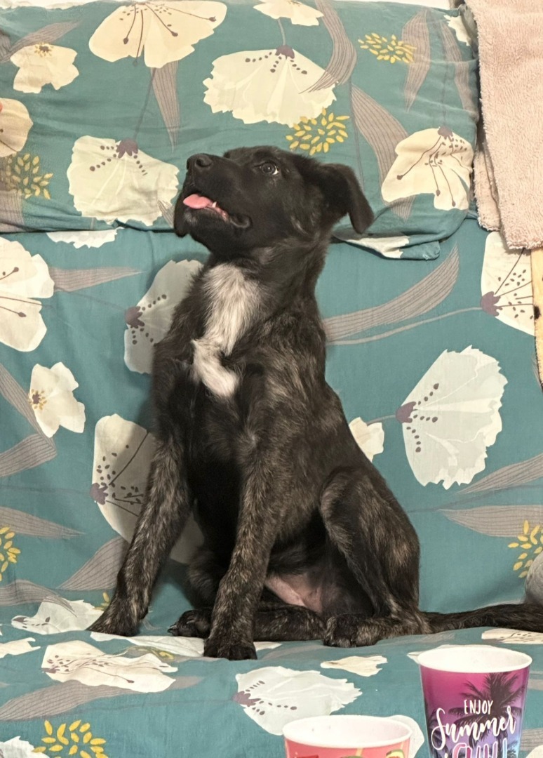 539813269_1118158870469249_6065053883713293799_n