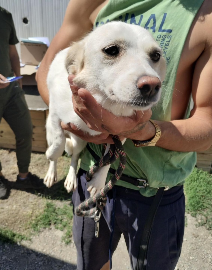 539939653_1119471257004677_1109279448560466957_n