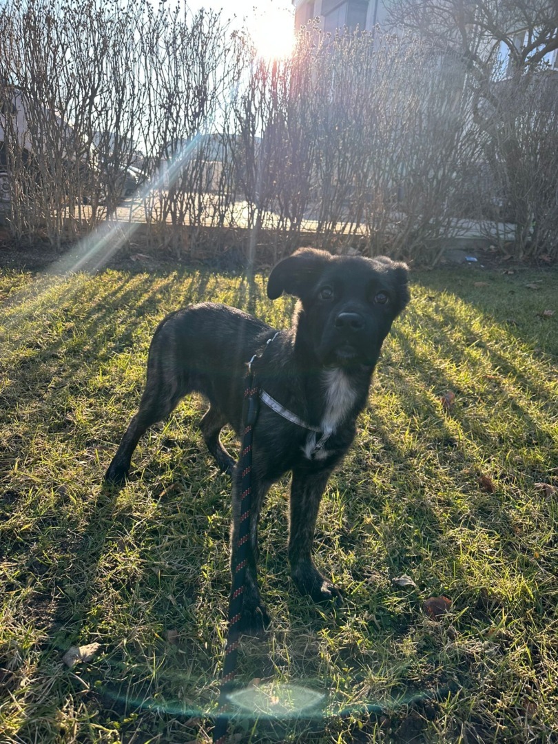 540003764_1118158940469242_837449442907337391_n