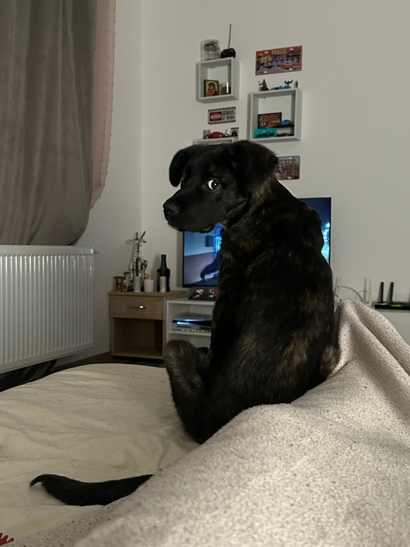 540012552_1118158773802592_1529287281600801194_n