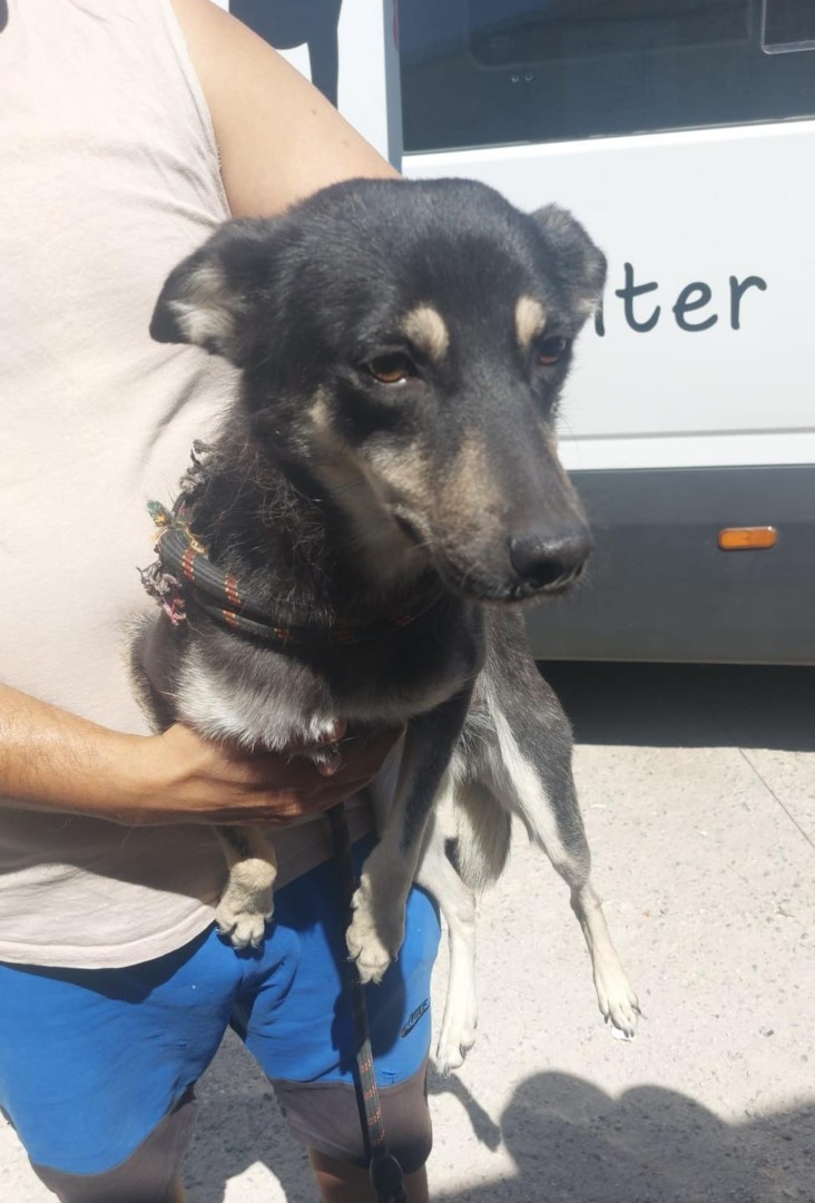 540465371_1119471207004682_3436313334145224895_n