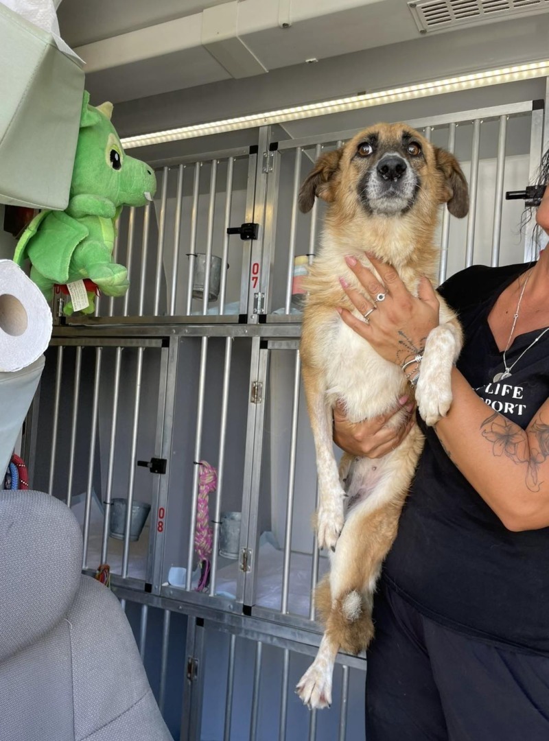 540468999_1119471237004679_9097796923849132036_n