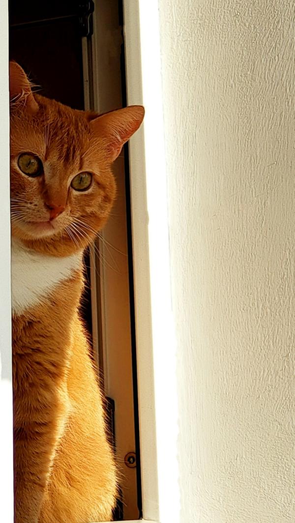 540770564_717583284664270_1687727444860843513_n