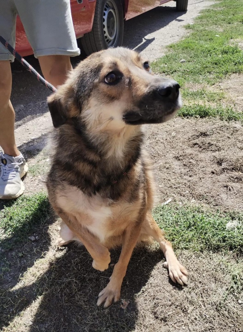 540778452_1119471307004672_6130602450354221494_n