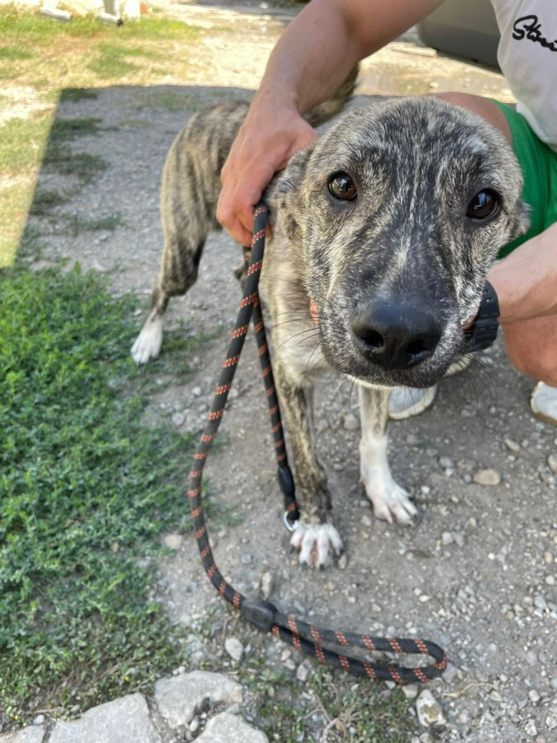 540869977_1119471273671342_5119846545250641544_n