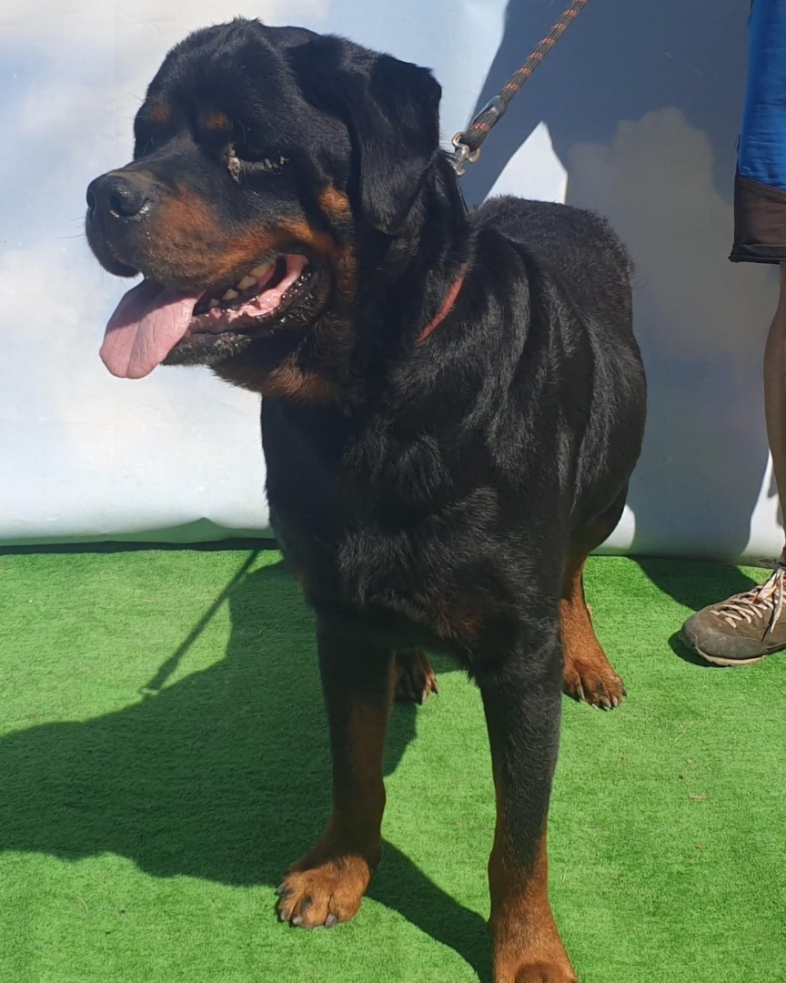 540934501_1118146453803824_2545528071129963215_n