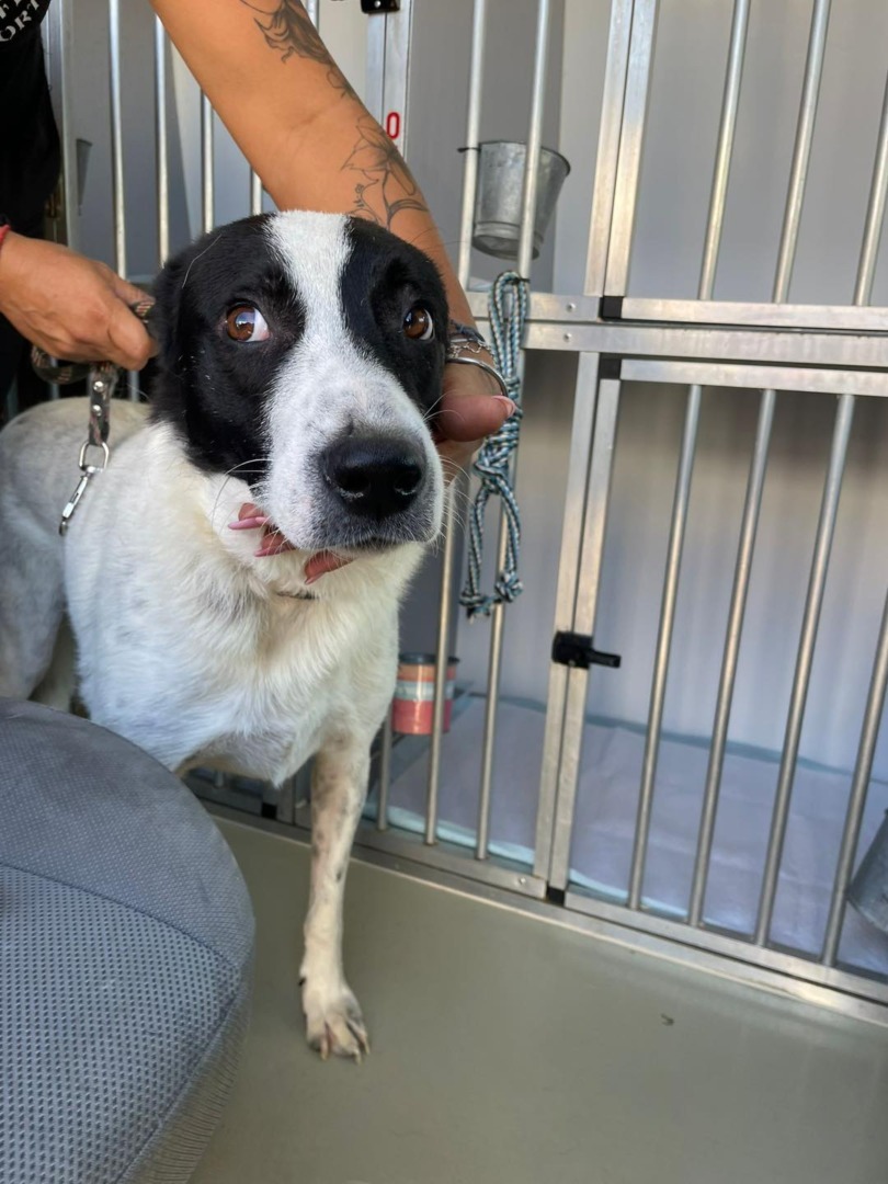 540969197_1119471113671358_3908767005648378396_n