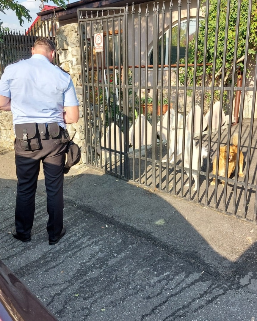 540975597_1121712890113847_2266438693494391410_n